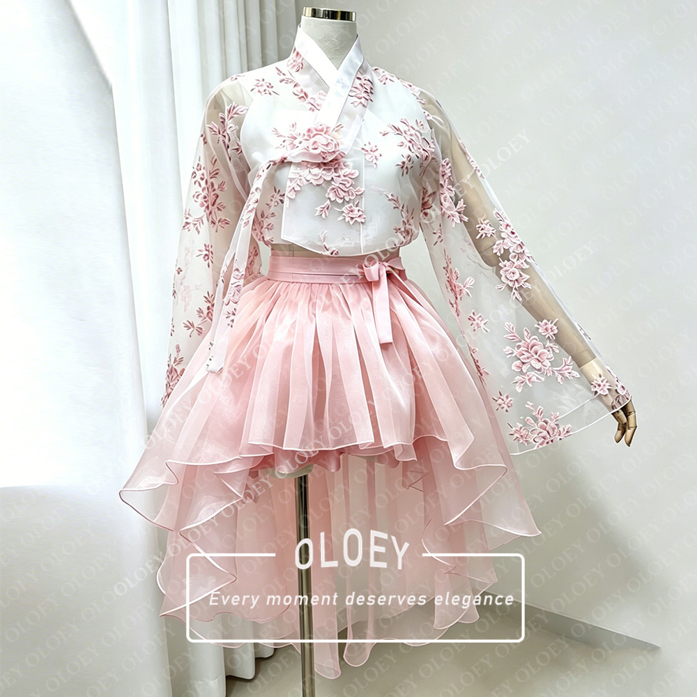 OLOEY فستان هانبوك كوري قصير ب - مراجعة Hanbok Modern Set وسعره